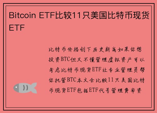 Bitcoin ETF比较11只美国比特币现货ETF